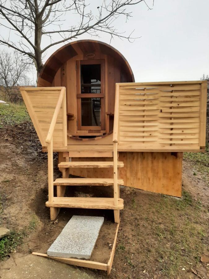 Apartmani Zuti Leptir Vrdnik Zewnętrze zdjęcie